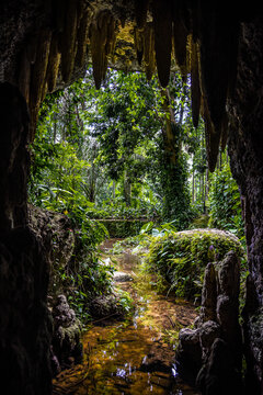 View of a Stream and Plants from the Exit of a Small Cave in Parque Lage - Rio de Janeiro, Brazil