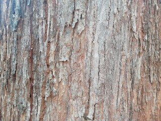 old wood texture