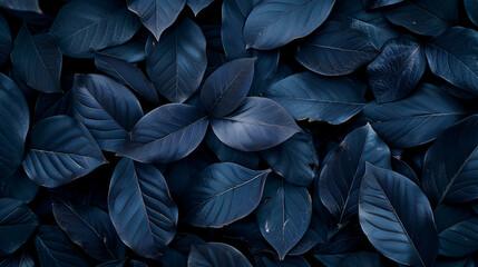 Abstract black leaves for a tropical foliage background