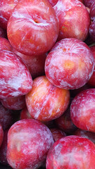 Close up pile of tasty fresh plums sold at the market as a background.
