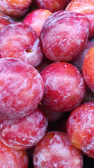 Close up pile of tasty fresh plums sold at the market as a background.