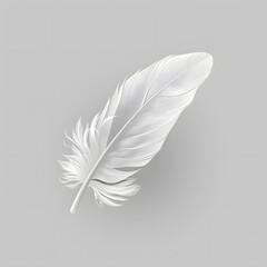 Obraz premium White fluffy feather isolated on light grey background