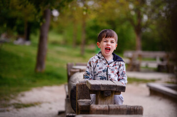 This captivating photo captures a young boy expressing excitement while playing in a rustic wooden...