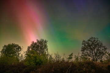 Aurora above ginkelse heide
