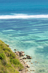 Algae plantations in coastal ocean water in the blue waves of low tide