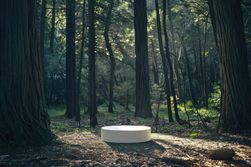 Podium or display for a product. podium for product presentation standing in the forest