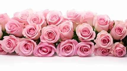 Bunch bouquet of pink roses isolated on white background panorama banner.