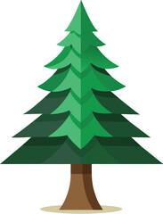 pine tree vector illustration, christmas tree