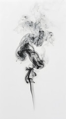 Fototapeta premium Dynamic black smoke flowing against white background