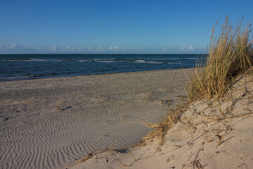 Düne am Sandstrand an der Ostsee.
