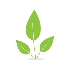 Leaves icon isolated vector illustration
