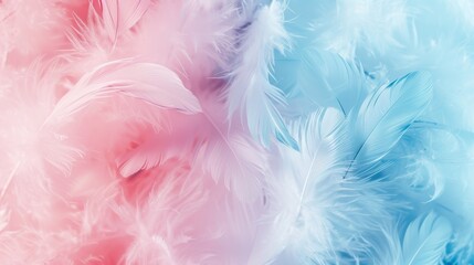 Soft and fluffy colored feathers.