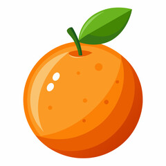 orange fruit illustration