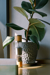 still life in caffe in the morning