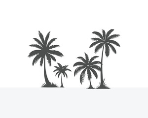 palm tree silhouette