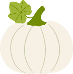 White pumpkin with leaves vector
Farm fresh pumpkin.