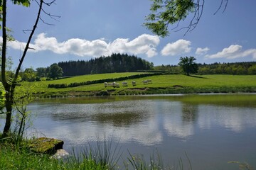 Fototapety na wymiar - Fototapeta24.pl