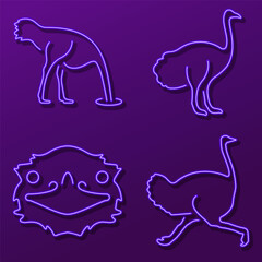 ostrich neon sign, modern glowing banner design, colorful modern design trend. Vector illustration.
