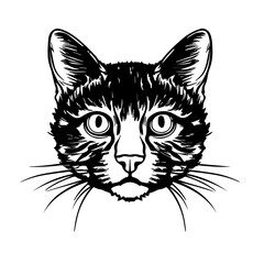 cat vector art