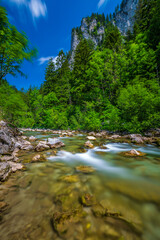 Serene Flow of Mürz River in Styria Amidst Vibrant Forest Landscape