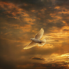 Majestic white dove soaring through a dramatic golden sunset sky, symbolizing peace and hope - AI generated