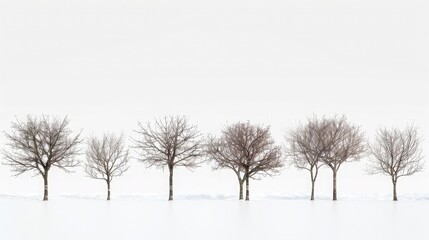 Arboreal Collection: Array of trees standing alone against a white background