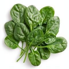Obraz premium Fresh spinach leaves isolated on white background.