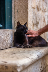 A man strokes a black cat that lies on a porch step in the city of Dubrovnik, Croatia
