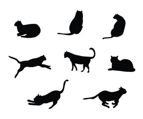 cat silhouette. set of cat silhouette with different movement or poses isolated on white background.