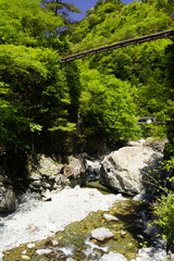 天川村川迫川渓谷の新緑と青空と吊り橋