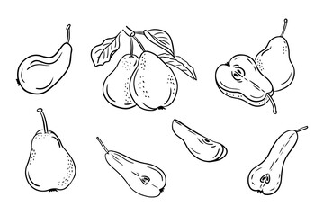 Hand drawn doodle contour set of pears. Vector black outline sketchy drawings of groups of fruits on white background. Ideal for coloring pages, tattoo, pattern
