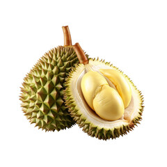 Durian isolated on white background.