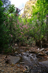 Nebiler Waterfall and Aglayan Cave, located in Dikili, Izmir, Turkey, is a tourist destination with a walking track and picnic area.