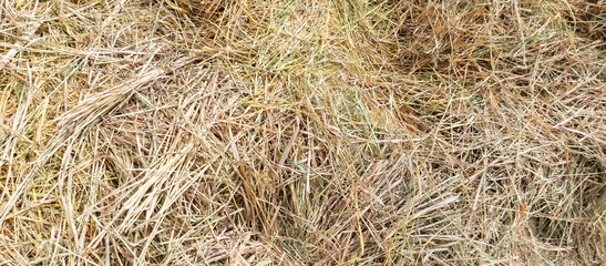 rice straw