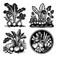 Vegetables and garden scenes, showcasing detailed renderings of root vegetables and garden beds. Black and white vector illustration, against white background 