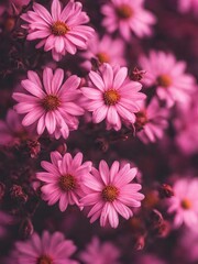 pink flowers