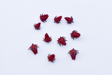 Rosella flowers are used as tea and traditional herbal medicine, Hibiscus sabdariffa Linn, Jamaica sorrel isolated on white background
