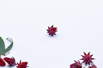 Rosella flowers are used as tea and traditional herbal medicine, Hibiscus sabdariffa Linn, Jamaica sorrel isolated on white background