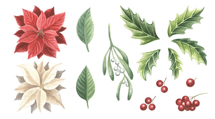 Mistletoe twig with berries, holly and poinsettia. Christmas traditional plants in vintage. Watercolor set. Hand drawn illustration for winter holiday decoration. Clipart for card, New Year, wrapping.