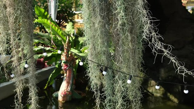 light bulbs on a background of plants