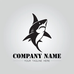 Shark silhouette illustration design for company logo vector image on the white background	
