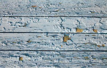 Old wooden surface with cracked blue paint