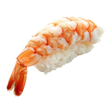 A delicious and fresh piece of sushi with shrimp on top.