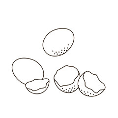 baking ingredients whole eggs and eggshells