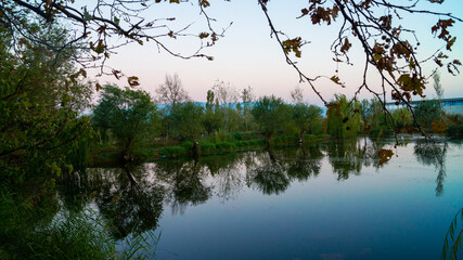 A fish farm lake with trees at sunset