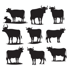 set of cows silhouettes on white	