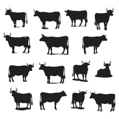 set of cows silhouettes on white	