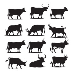 set of cows silhouettes on white	