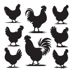 set of chicken silhouettes on white	