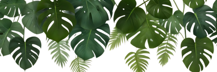green leaves background
